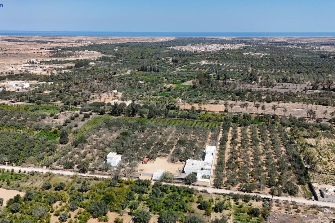 Zina Resort Guesthouse & Camping