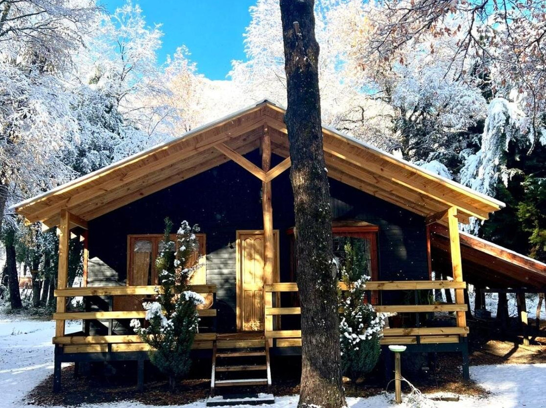 Cabanas Bosque las Trancas