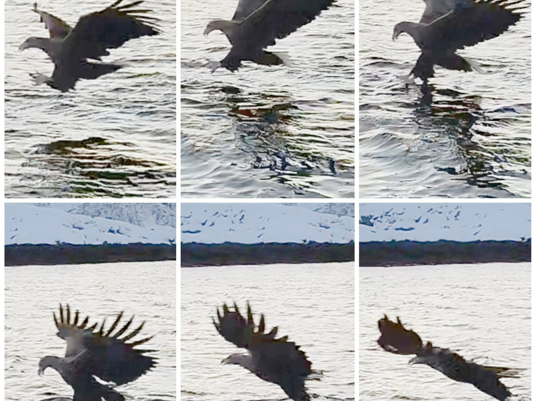 Go2Lofoten-斯沃尔韦尔必去景点