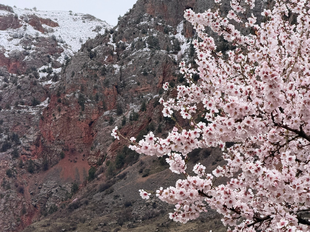 One Way Tour-埃里温必去景点