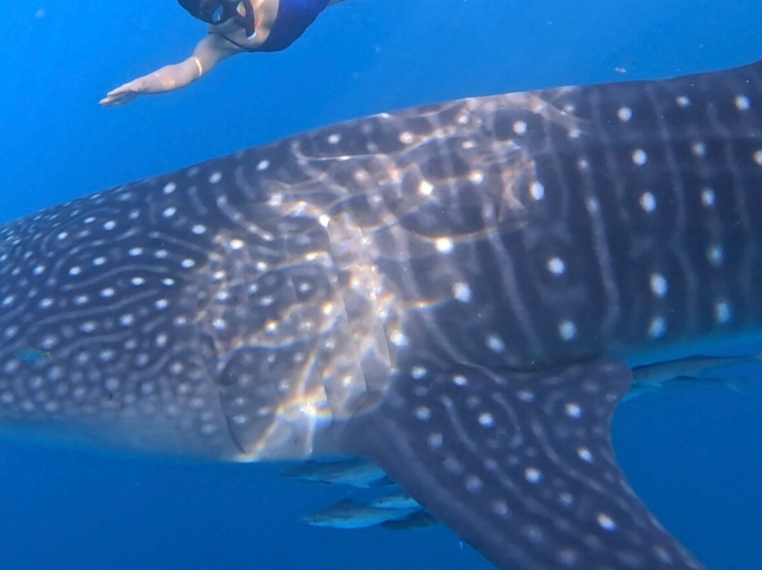 The Langkah Travel-Sumbawa Besar必去景点