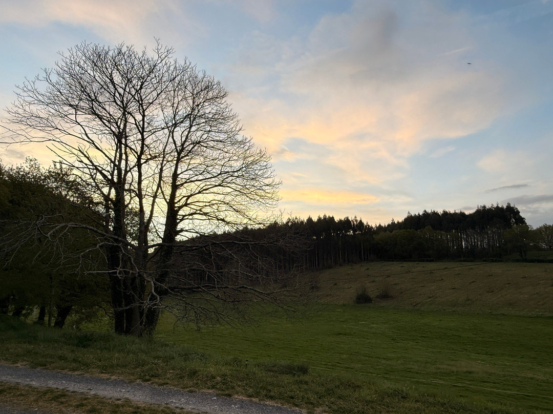 Porto de Bois Apartamentos Turisticos主图
