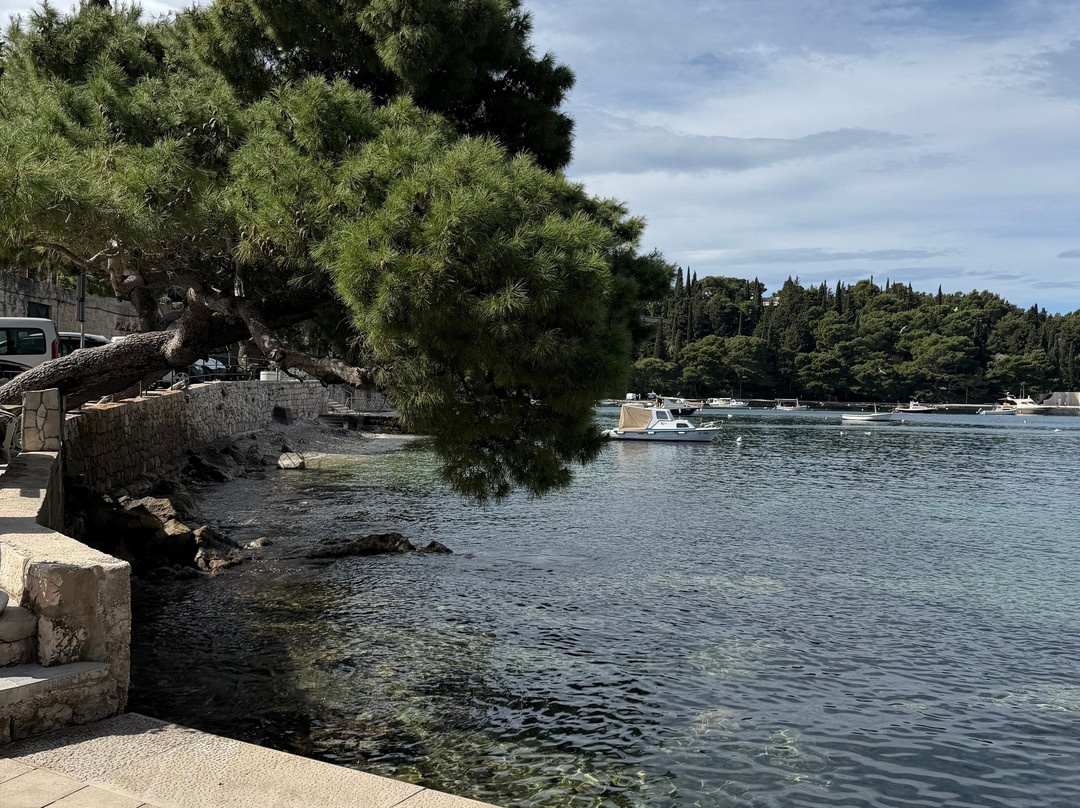 Cavtat Seaside Promenade-察夫塔特必去景点