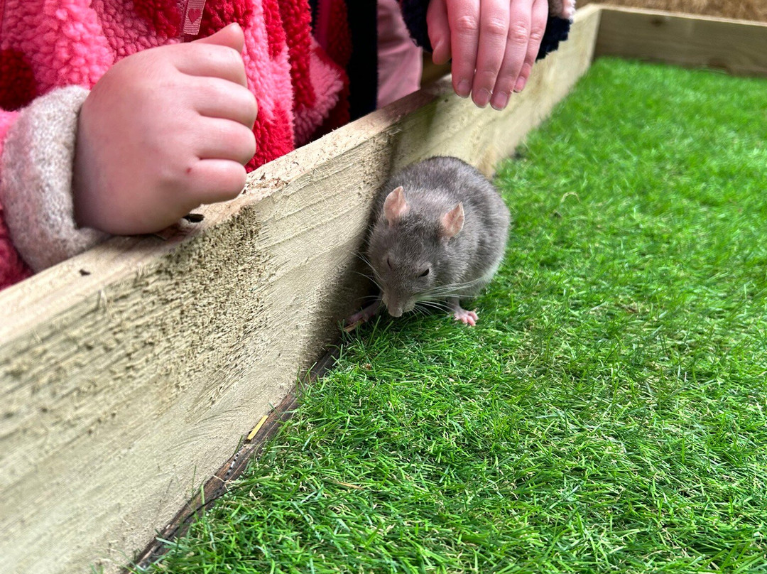 Monk Park Farm-Bagby必去景点