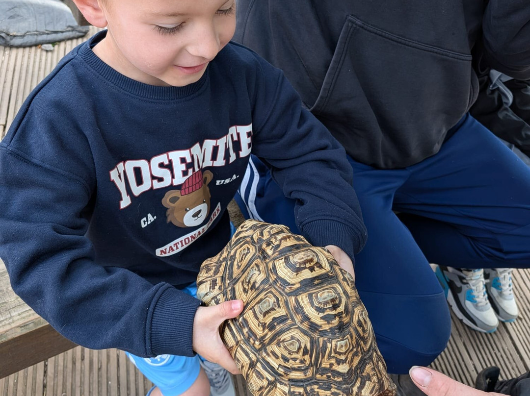 Promenade Park Petting Zoo-Maldon必去景点
