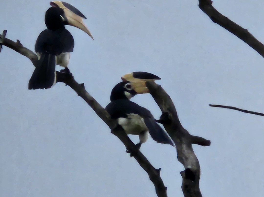 锡吉里耶水园酒店主图
