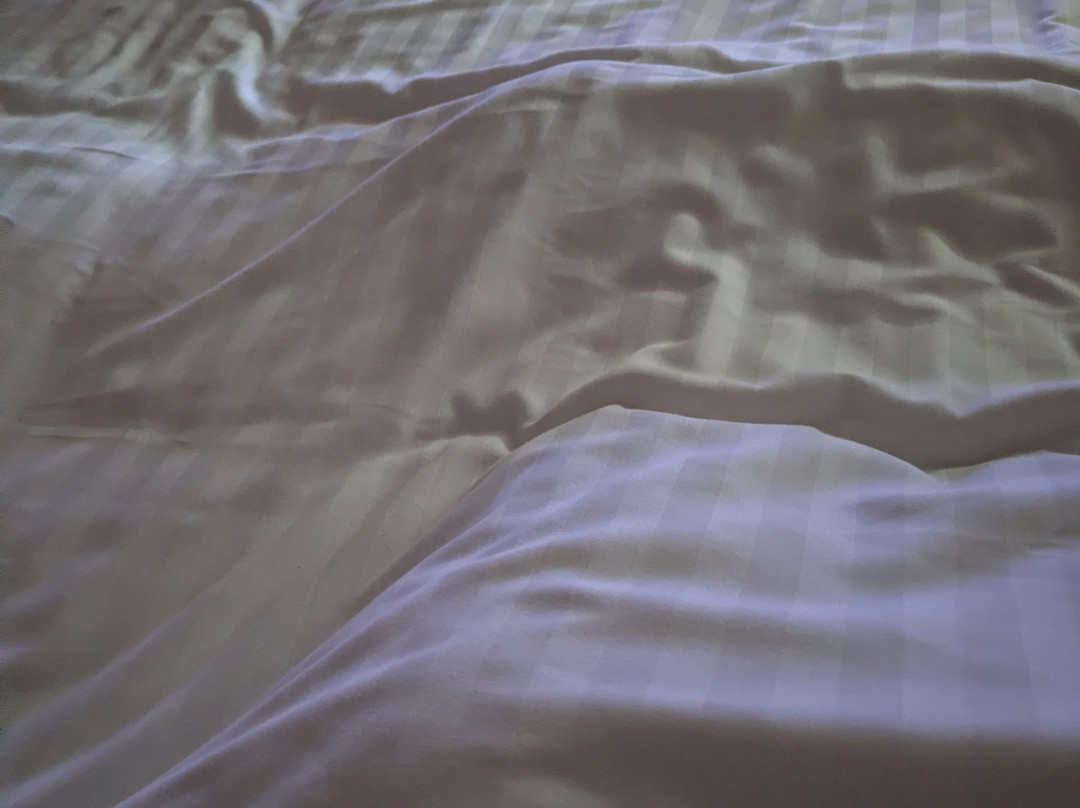 伯恩矛斯贝斯特韦斯特Sure东悬崖酒店主图