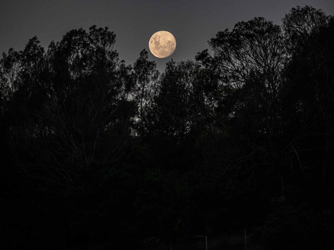 波特利斯科普私人猎区酒店主图