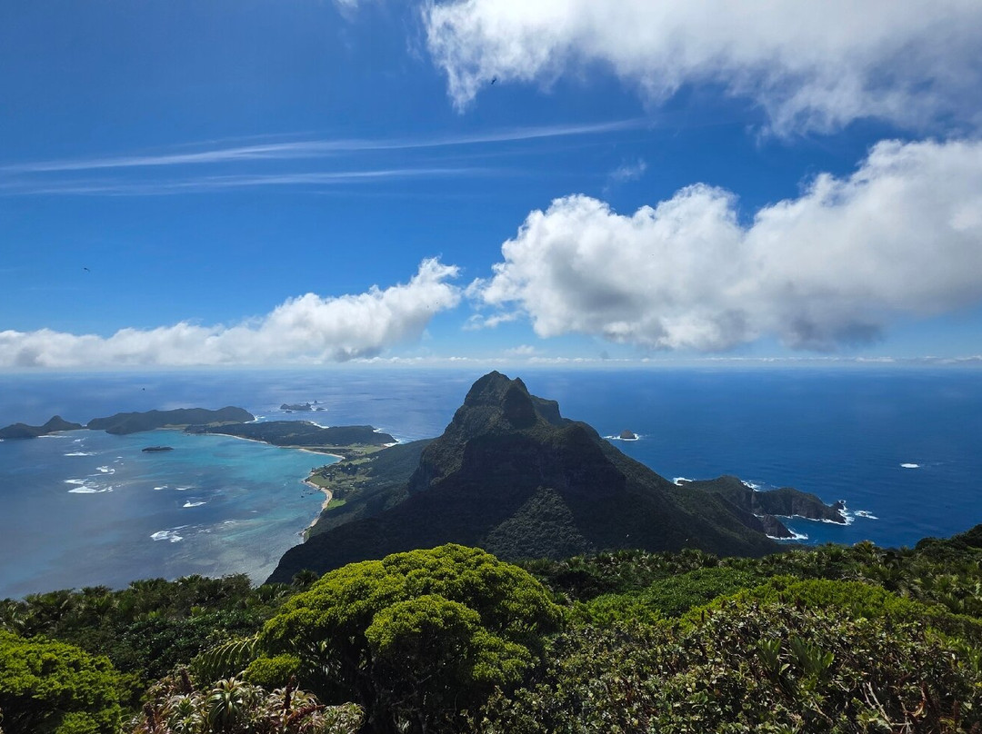 Lord Howe Environmental Tours-豪勋爵群岛必去景点