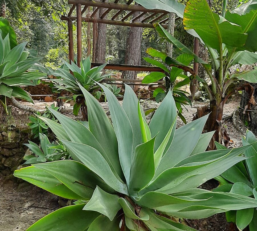 M1庄园酒店主图