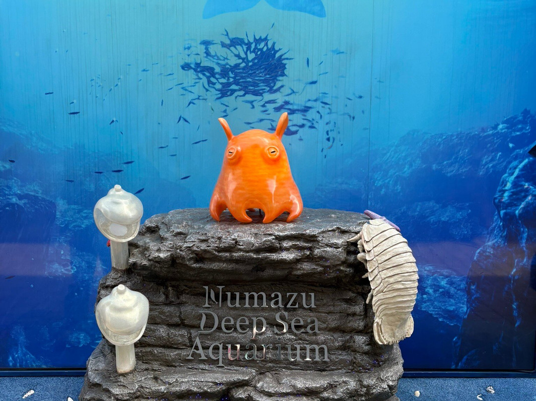 Numazu Deep Sea Aquarium-沼津市必去景点