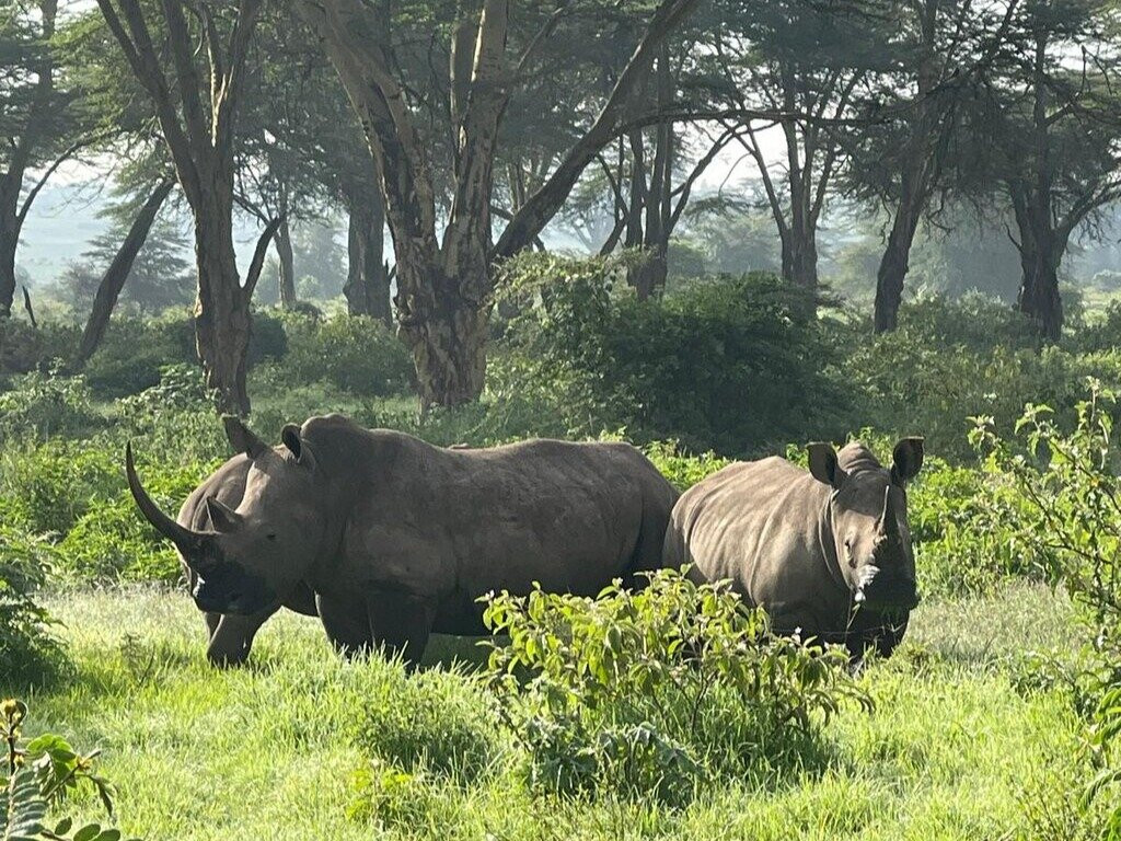 Shanjoy Tours and Safaris-Kikuyu必去景点