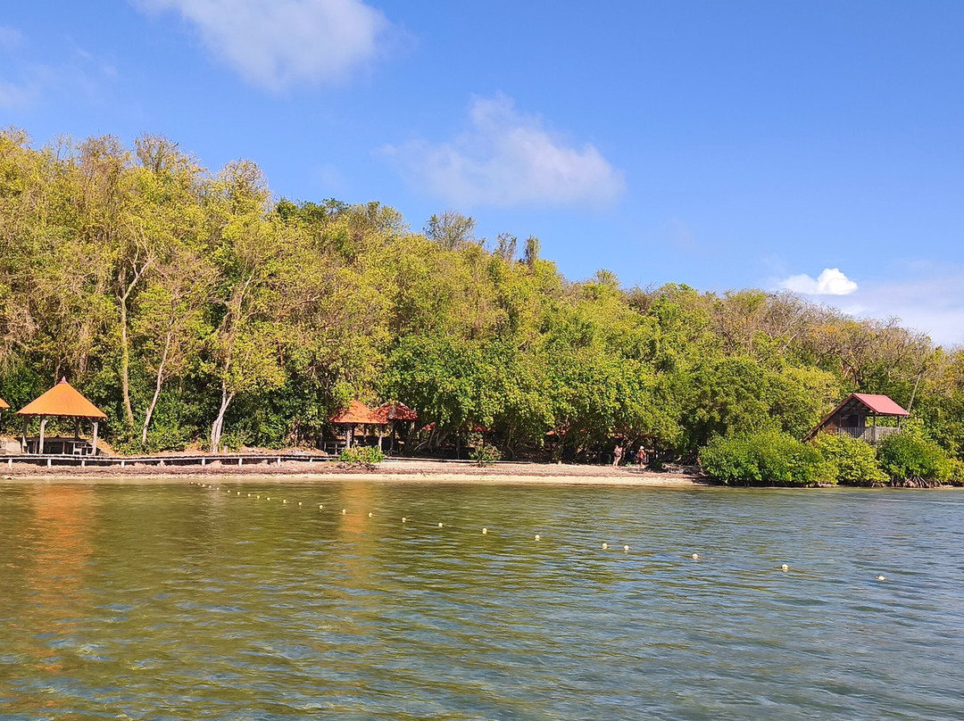 Capitaine Titi Balades en Mer-La Trinite必去景点