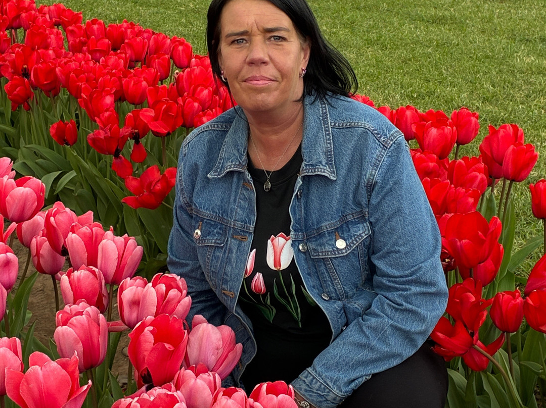 Tulleys Tulip Garden - Warwickshire-沃里克必去景点