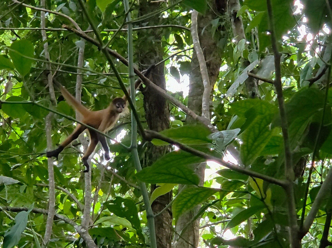 Bella Aventura Costa Rica-Santo Domingo de Heredia必去景点