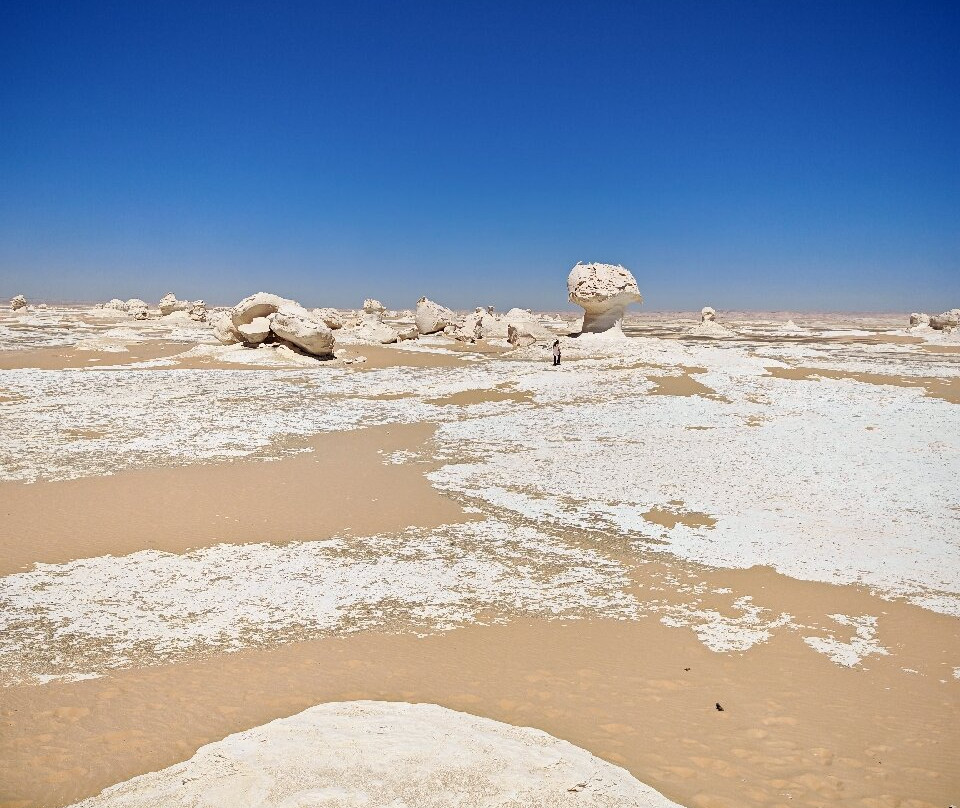 Egypt Western Desert Tours - Day Tour-Bawiti必去景点