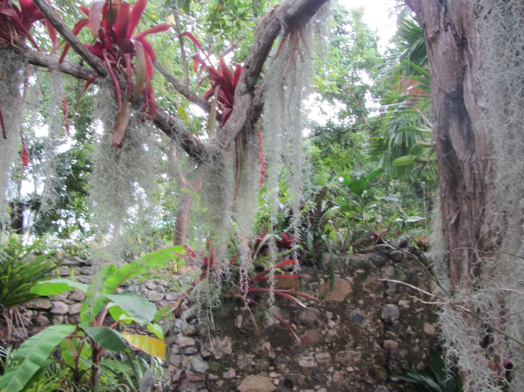 St. George Village Botanical Garden-Frederiksted必去景点