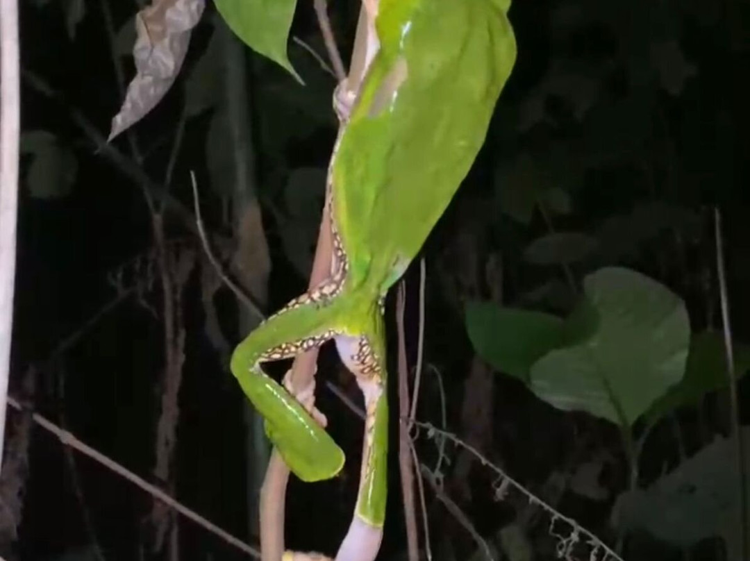 Amaselva Tours - Colombia Amazon-Puerto Narino必去景点
