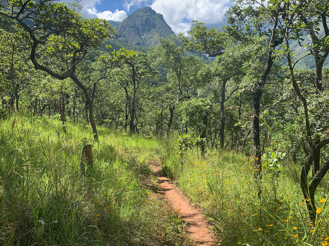 Mount Mulanje Hike With Local Guide-姆兰杰必去景点