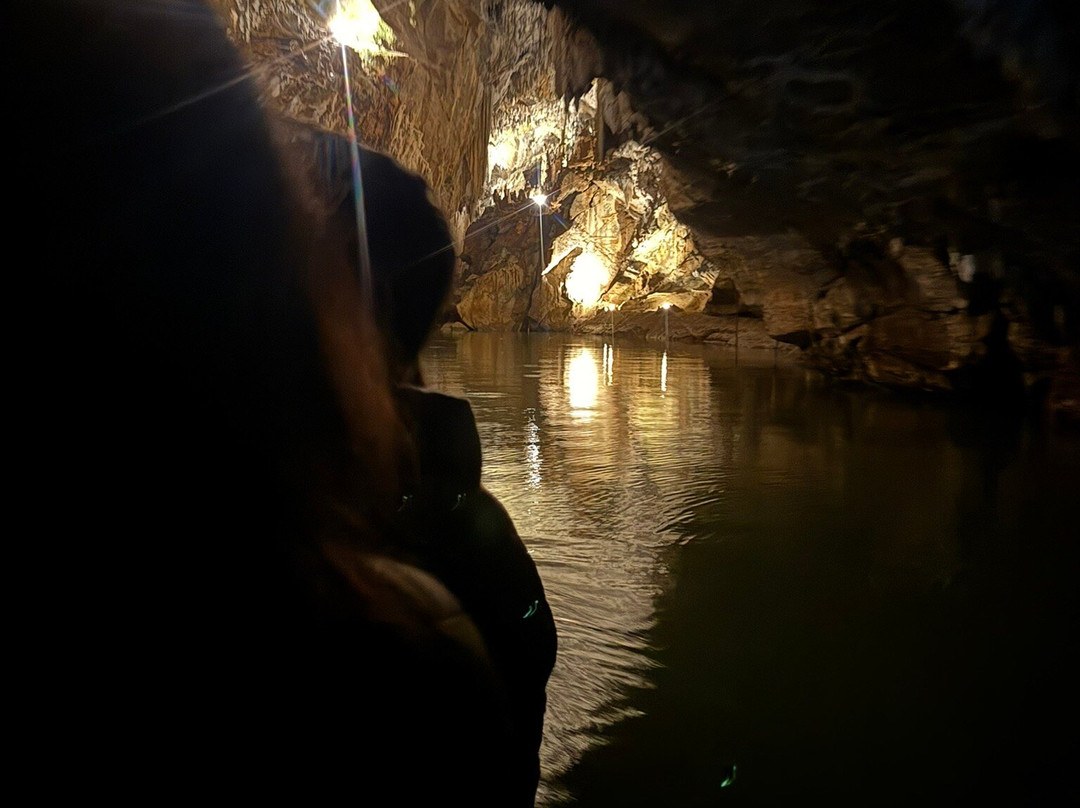 Penn's Cave & Wildlife Park-中心大厅必去景点