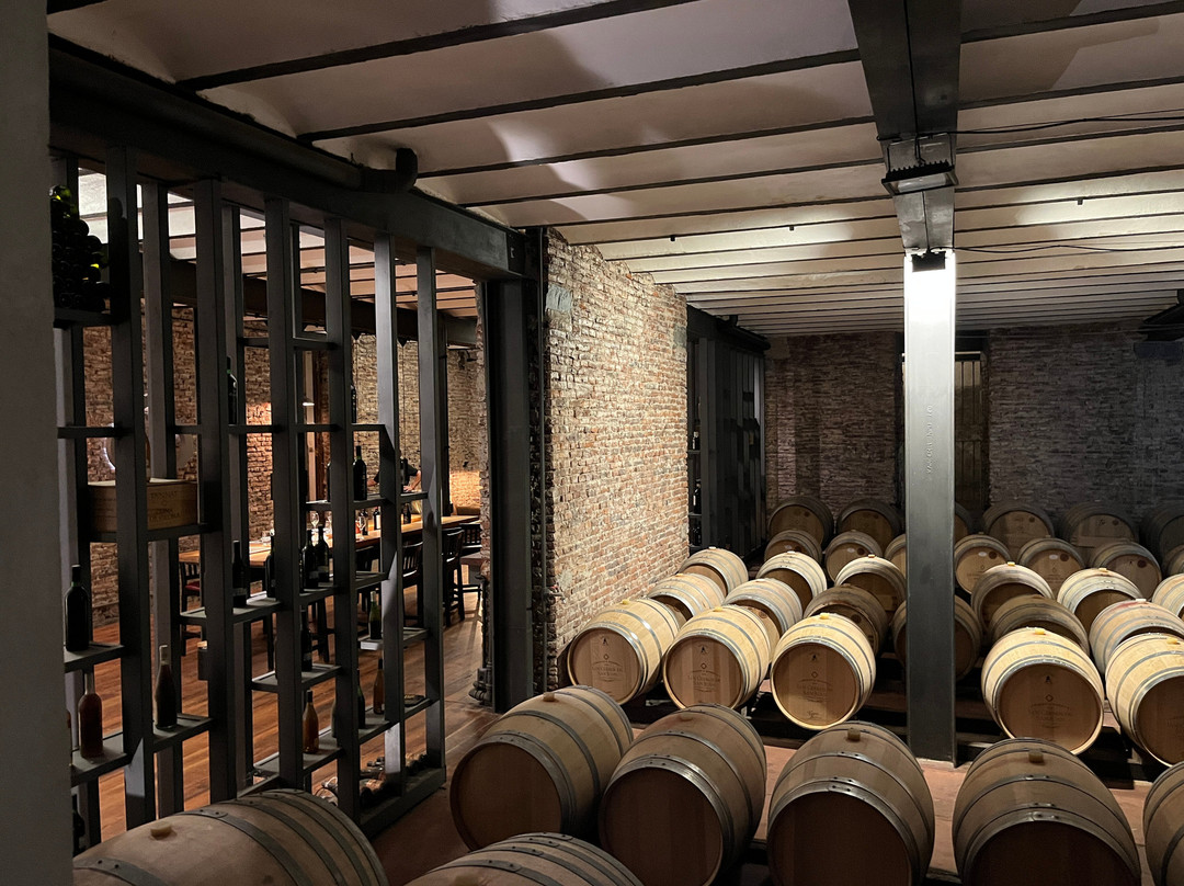 Bodega Los Cerros De San Juan-科洛尼亚·德尔萨克拉门托城必去景点