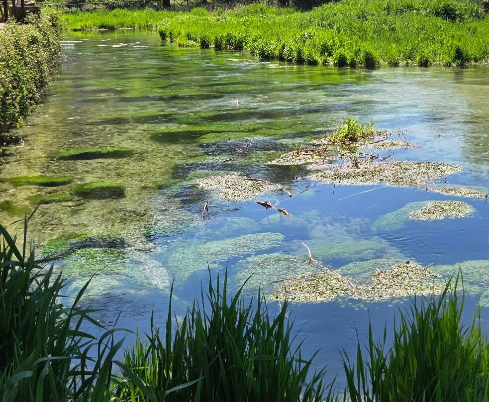 Lago di Posta Fibreno-Posta Fibreno必去景点