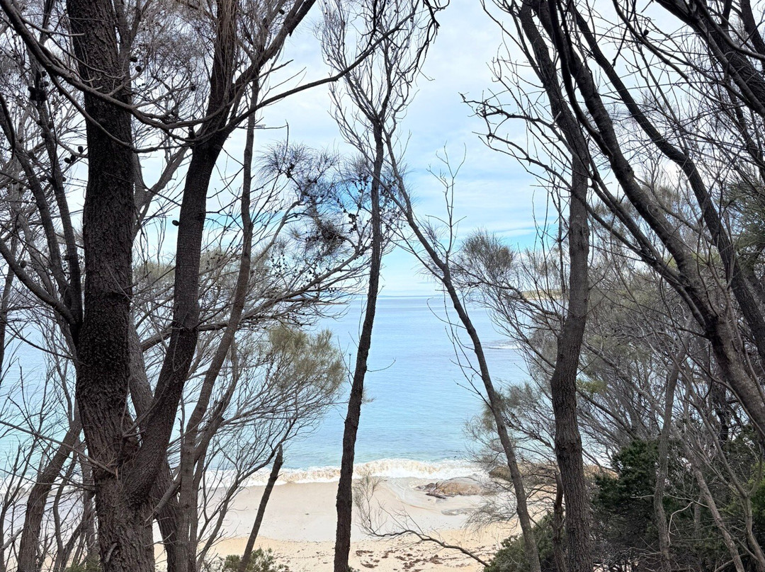 Freycinet National Park-科尔斯湾必去景点