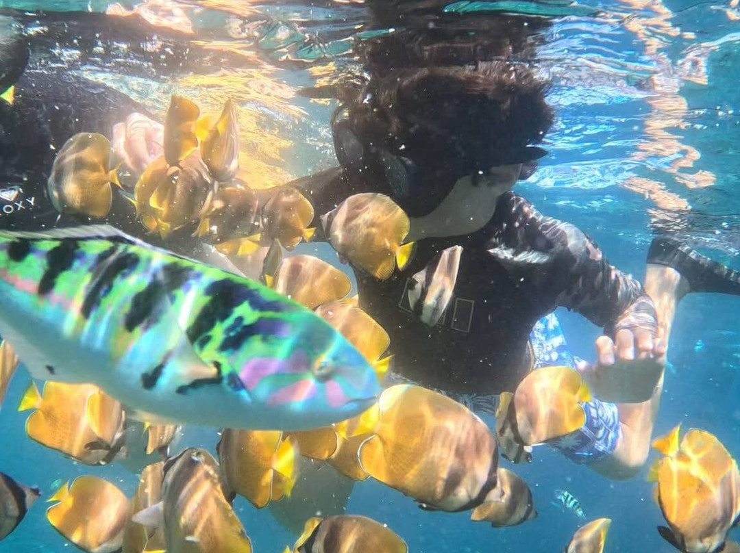 Ceningan Snorkeling Trip-努沙切宁安岛必去景点