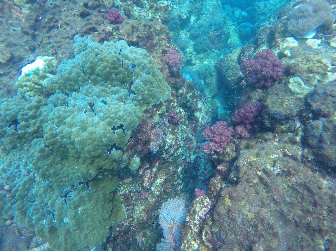 Wetzone Divers-拉克山必去景点
