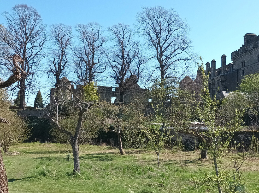Falkland Palace & Garden-Falkland必去景点