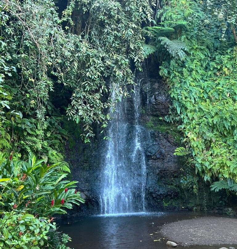 Unique Tahiti-帕皮提必去景点
