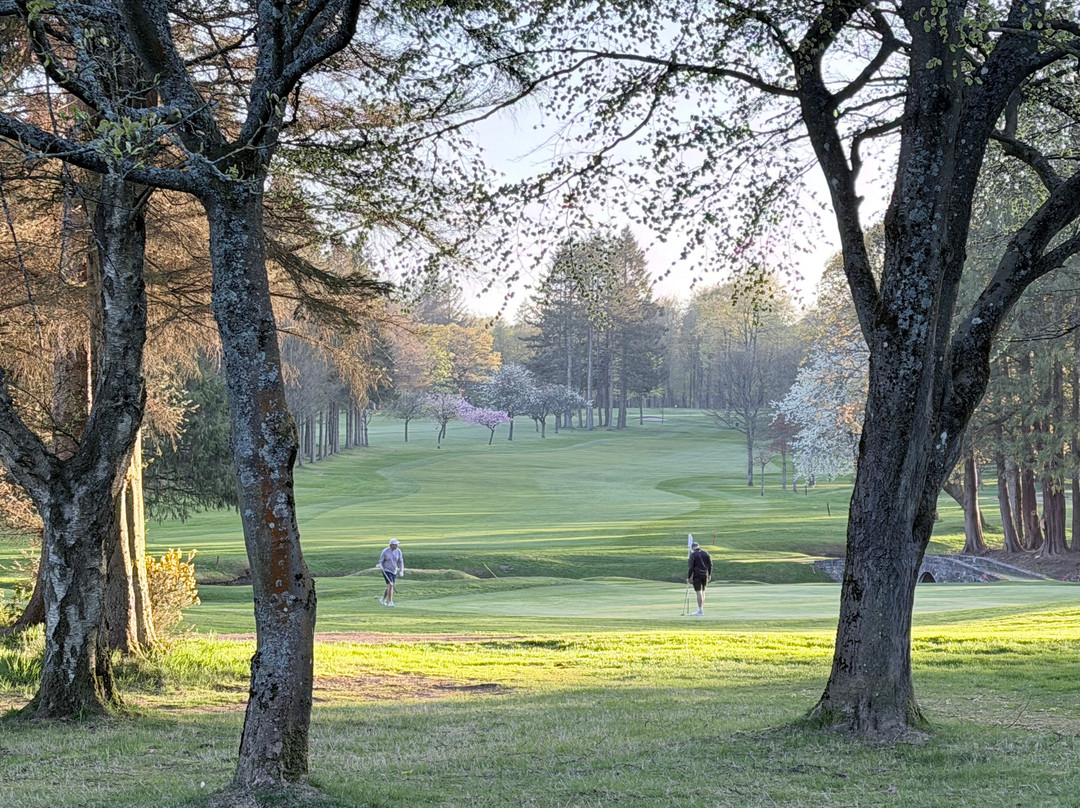 Downfield Golf Club-敦提必去景点