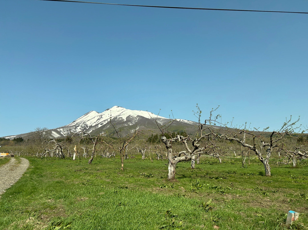 Mt. Iwaki-弘前市必去景点