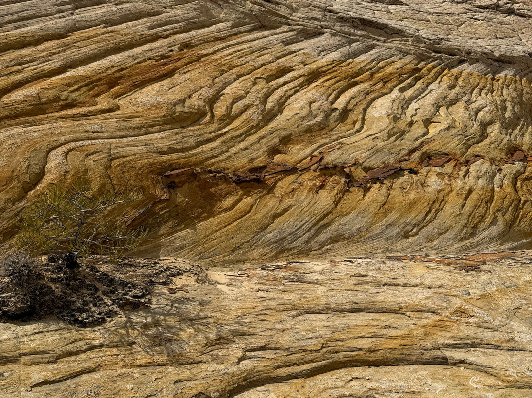 Utah Slickrock Guides-Boulder必去景点