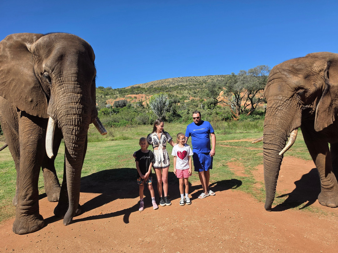 Elephant Sanctuary Hartbeesport Dam-哈特比斯普特必去景点