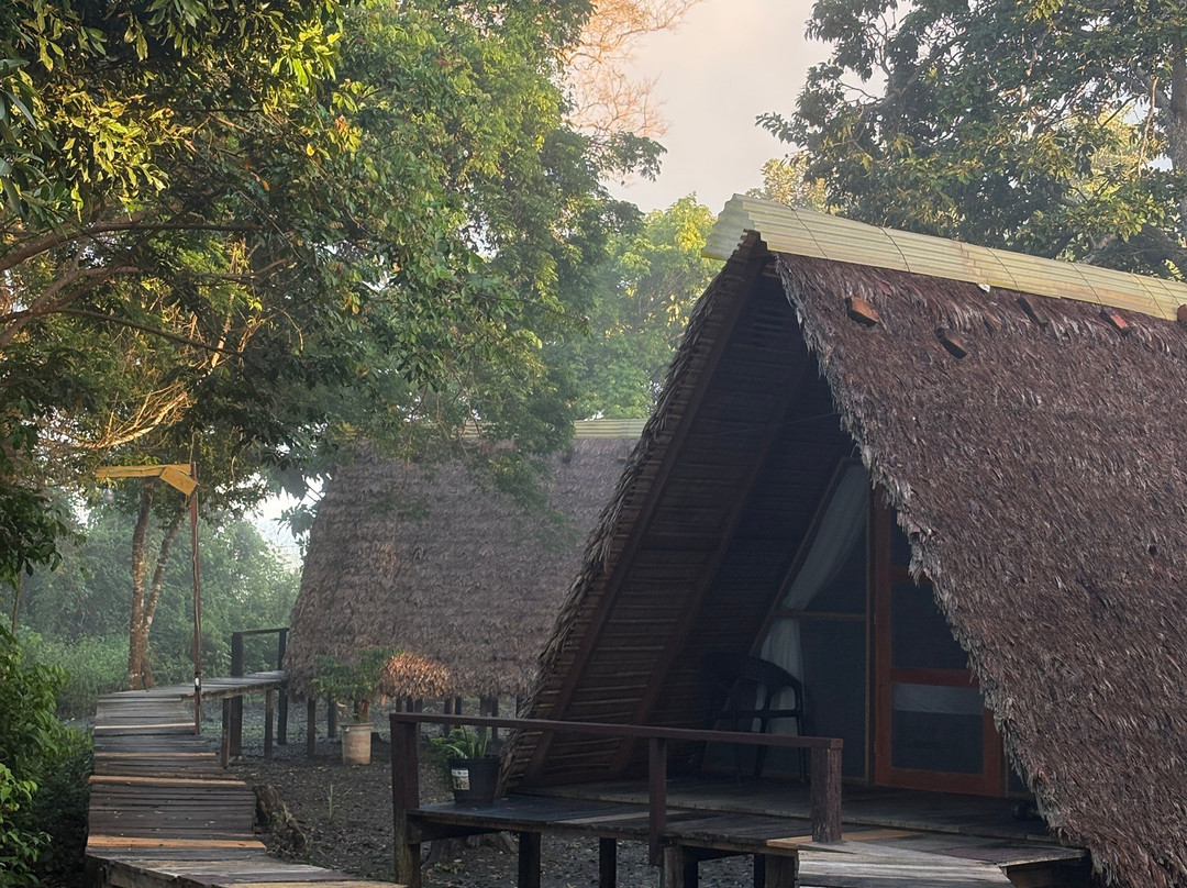 Indigena Tours-Rurrenabaque必去景点