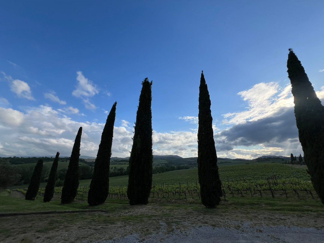 Tenuta Golo - Winery & Villa主图