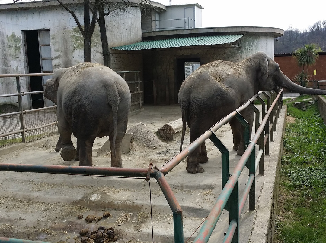 Giardino Zoologico Di Pistoia-皮斯托亚必去景点