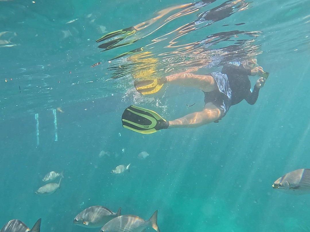Islander Girl Snorkel &Tours-Tavernier必去景点