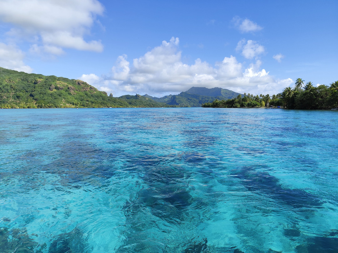 Huahine Dream Tours-Huahine必去景点
