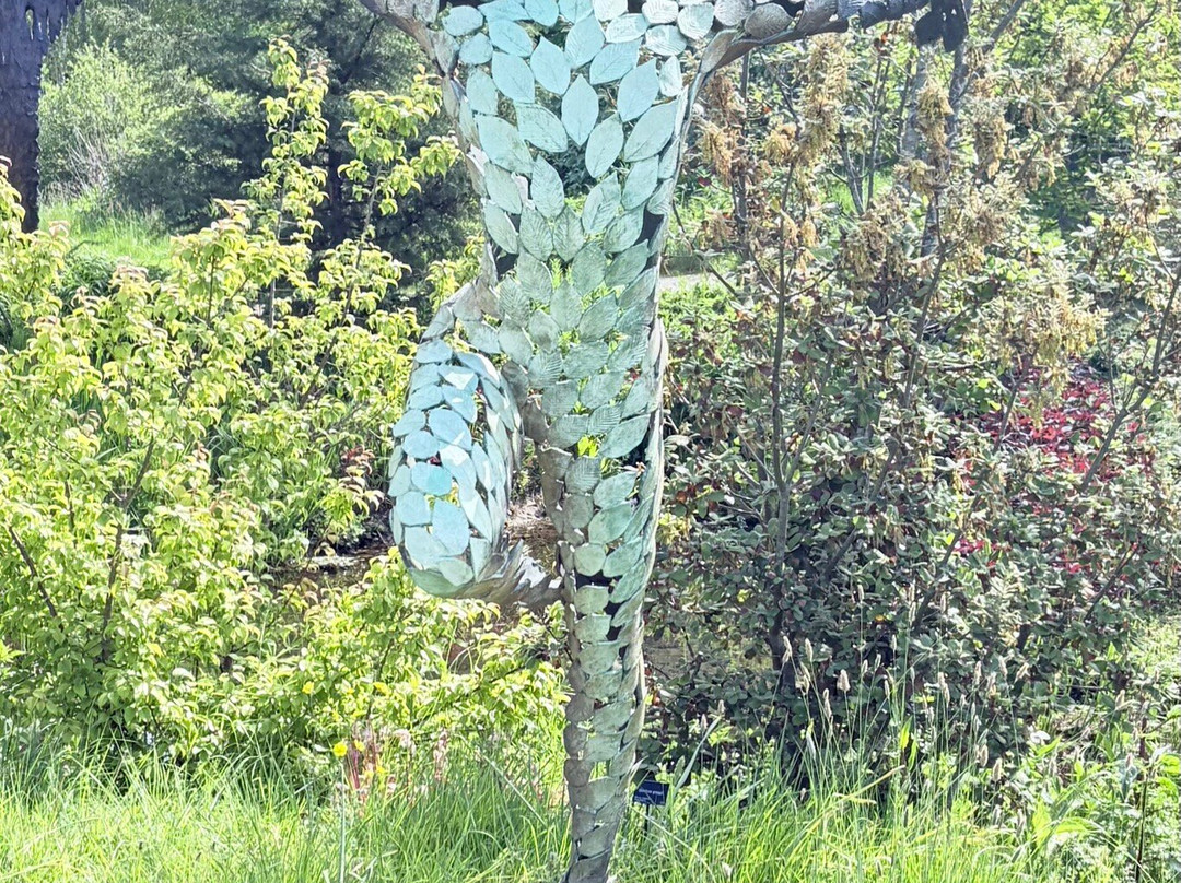 Sculpture By The Lakes-多切斯特必去景点