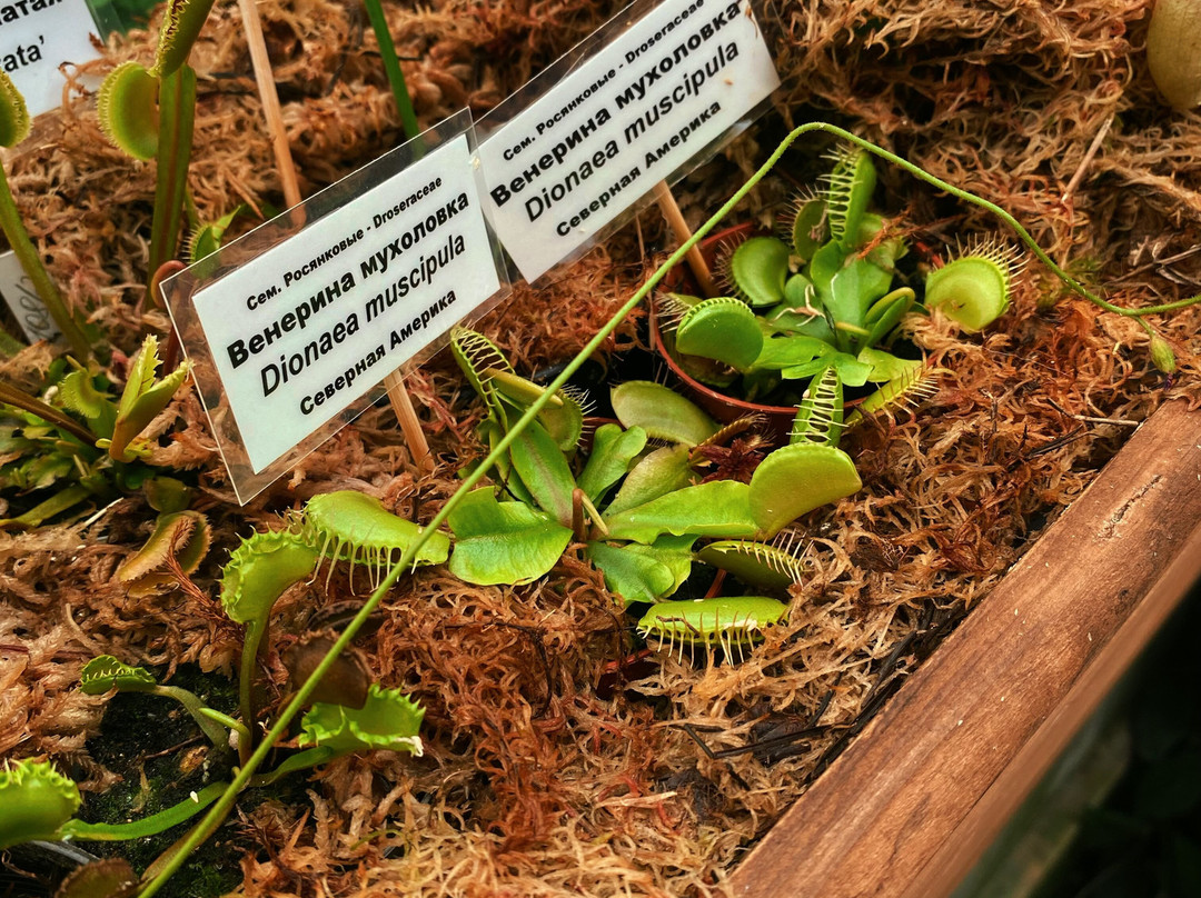 Siberian Botanical Garden-托木斯克必去景点