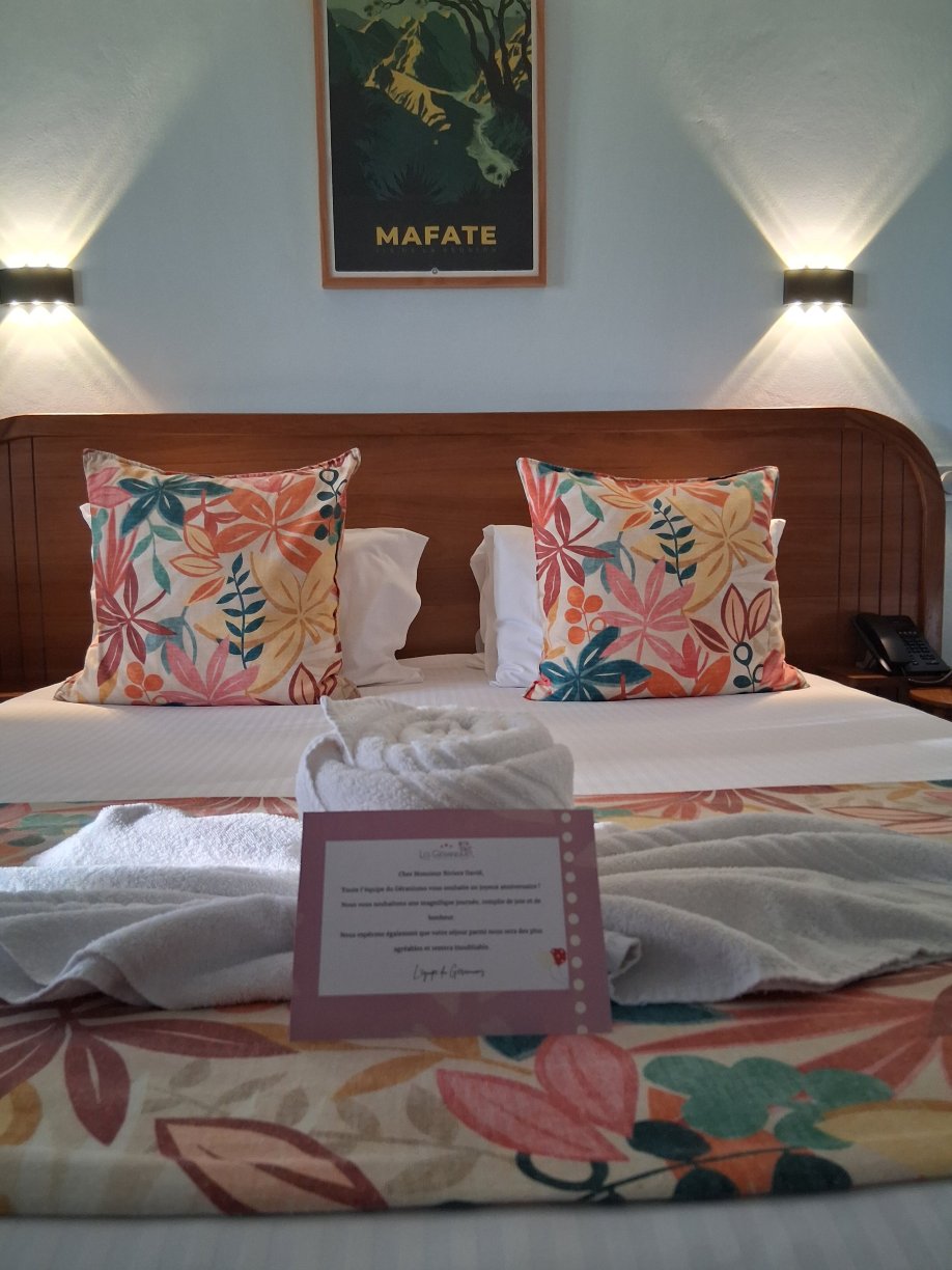Hotel Les Geraniums-旅行者