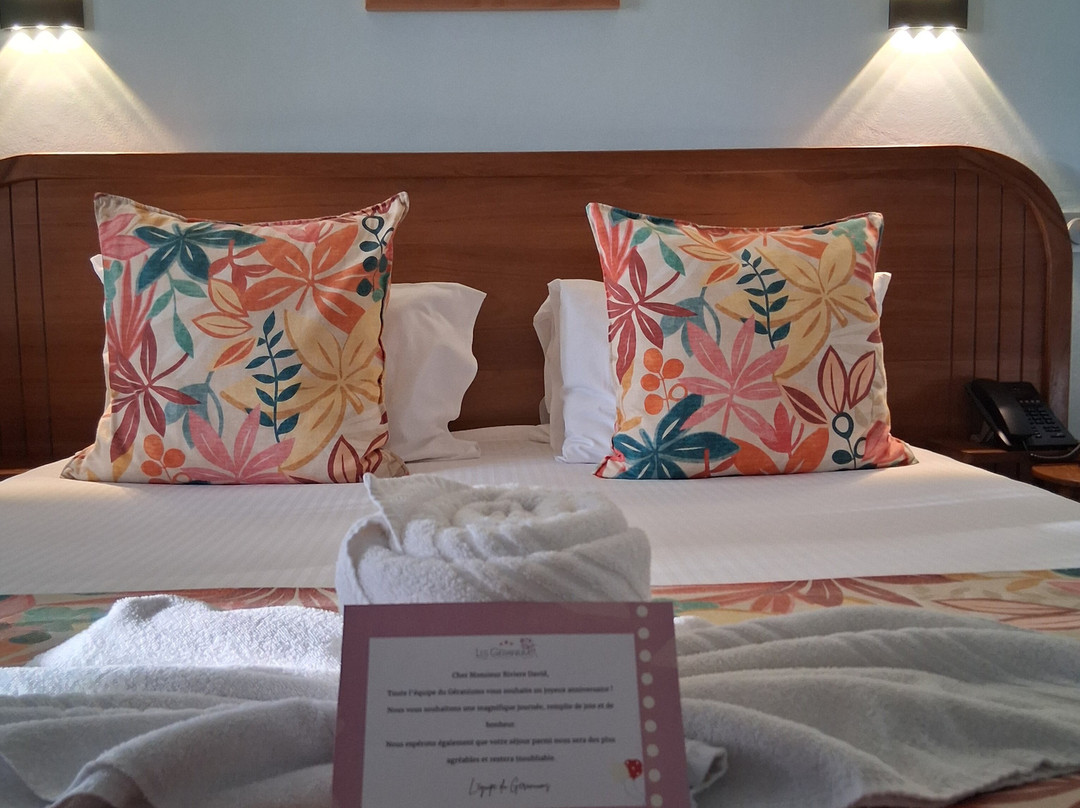 Hotel Les Geraniums主图