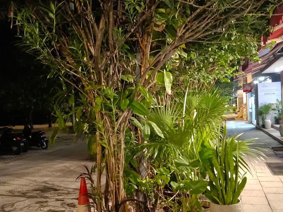胡鲁马累琥珀海滩酒店主图