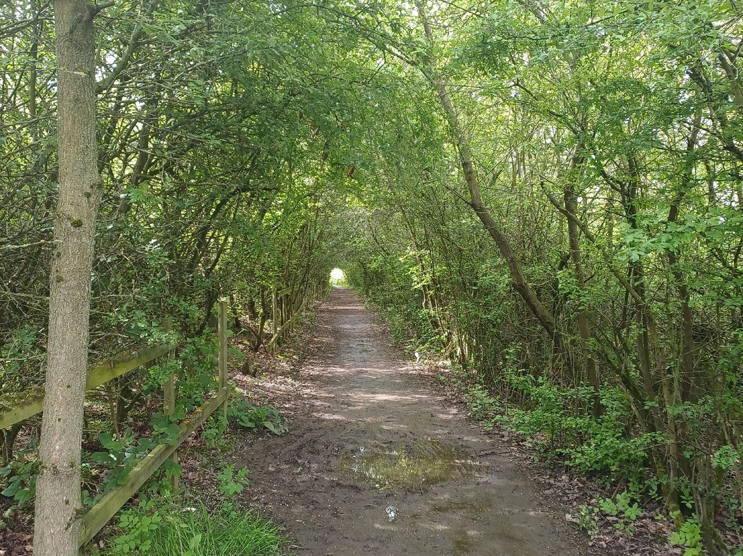 Angler's Country Park-韦克菲尔德必去景点