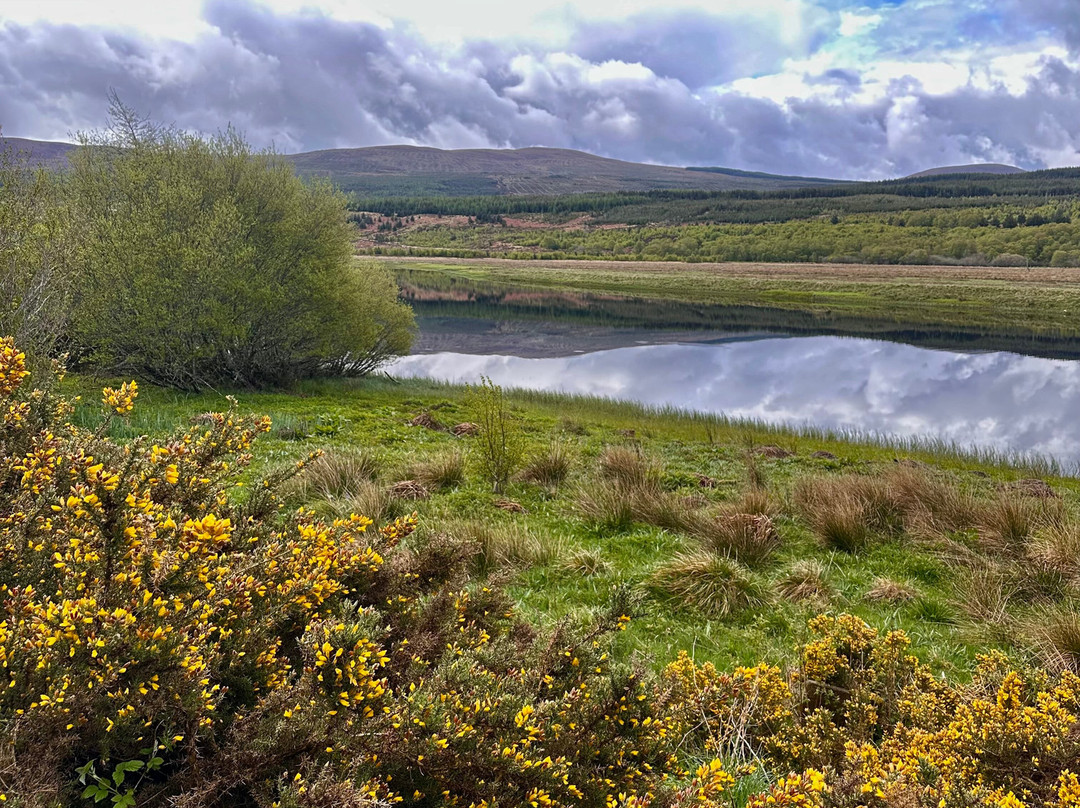 Go Wild Highlands-Lairg必去景点