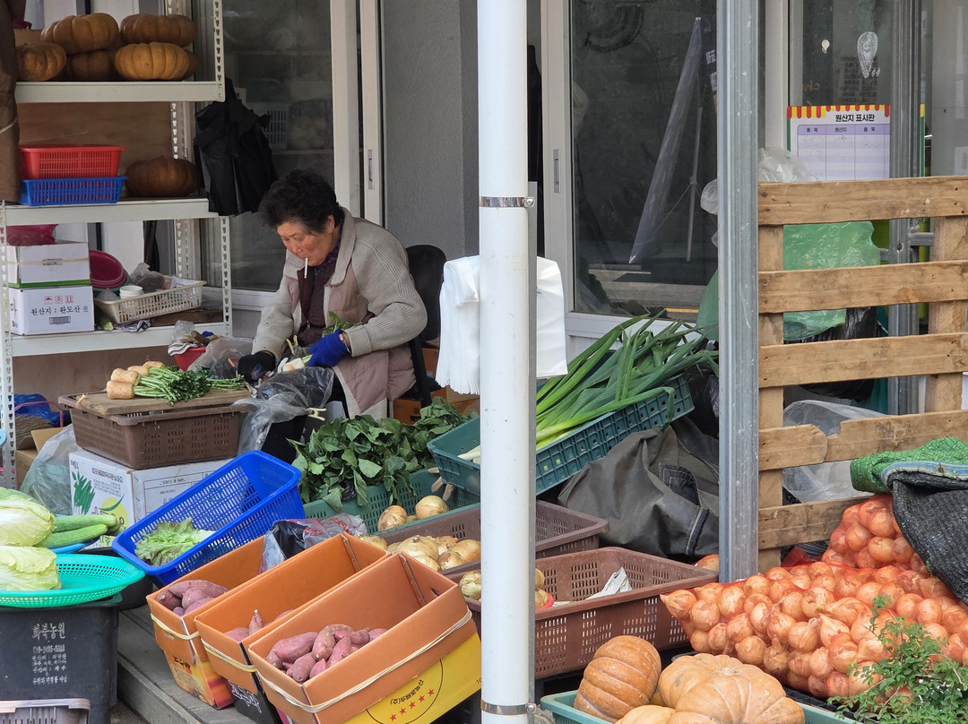 Segowipo Maeil Olle Market-西归浦市必去景点
