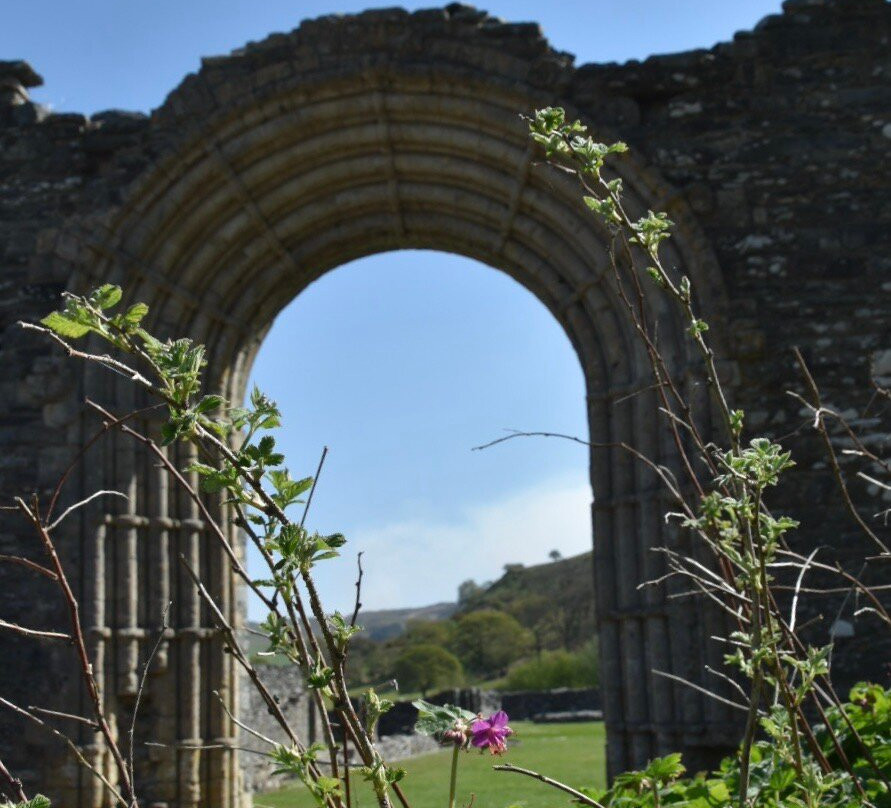 Strata Florida Abbey-Tregaron必去景点