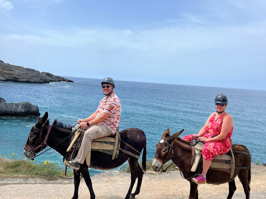 Plakias Horse Riding Center-Plakias必去景点